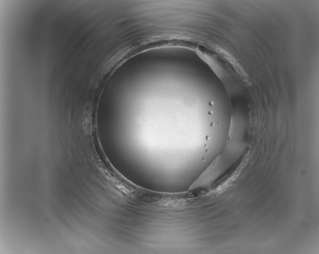 X0000073420977200608111346