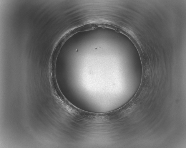 X0000073420979200608111346