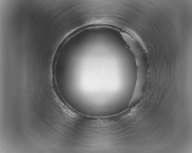 X0000073420980200608111346