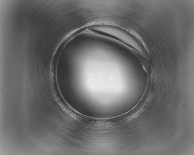 X0000073420981200608111346