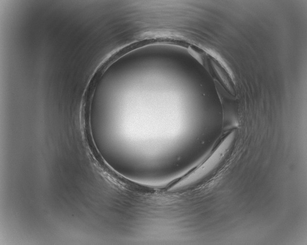 X0000073420983200608111346