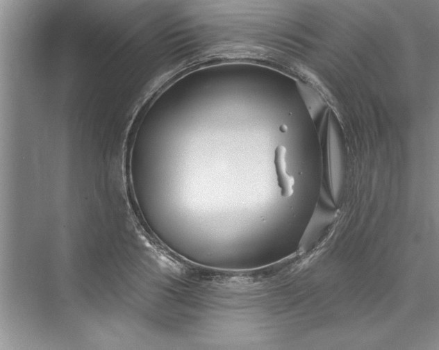 X0000073420986200608111346