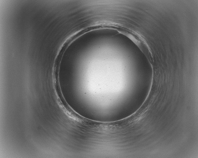 X0000073420987200608111346