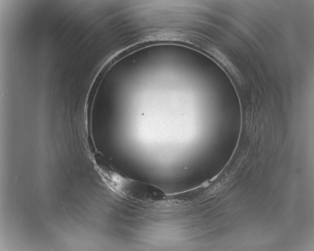 X0000073420988200608111346