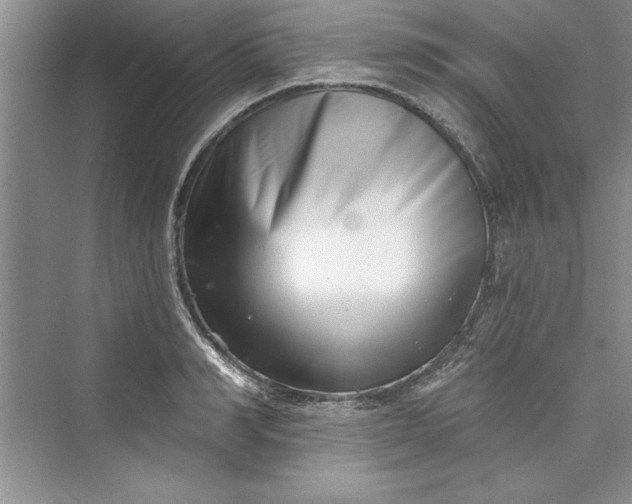 X0000073420990200608111346