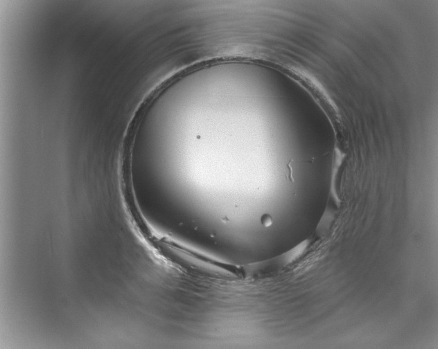 X0000073420991200608111346