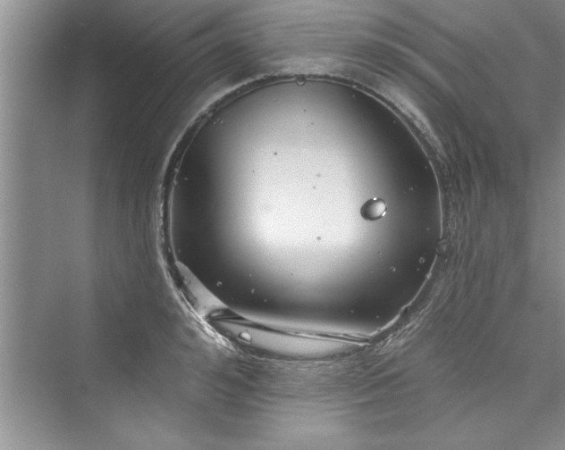 X0000073420992200608111346