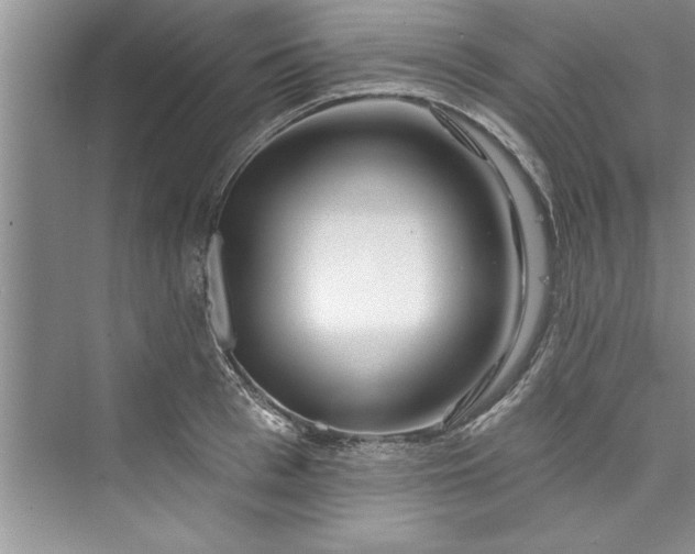 X0000073420993200608111346