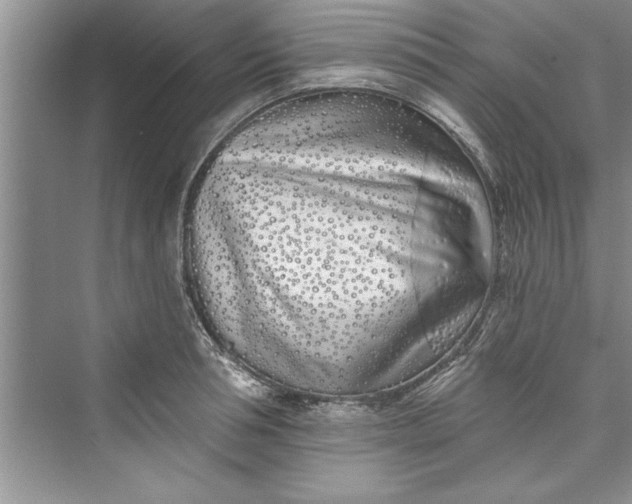 X0000073420994200608111346