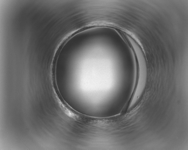 X0000073420995200608111346