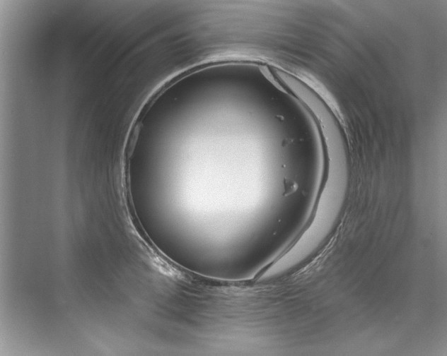 X0000073420996200608111346