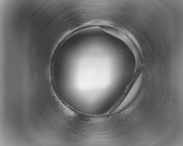 X0000073420997200608111346