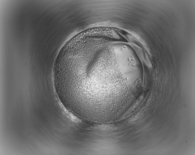 X0000073420998200608111346