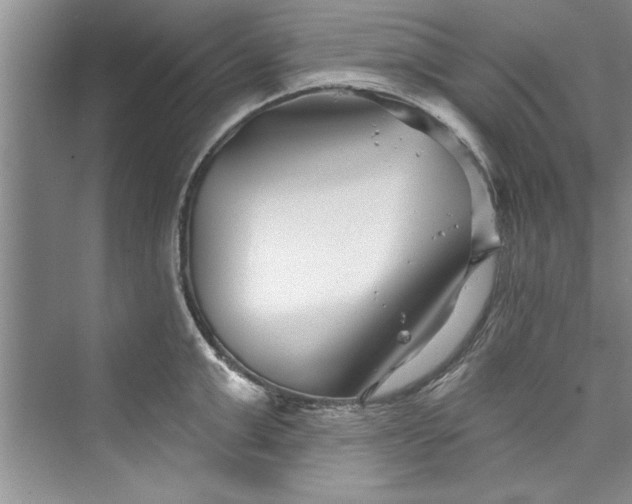 X0000073420999200608111346