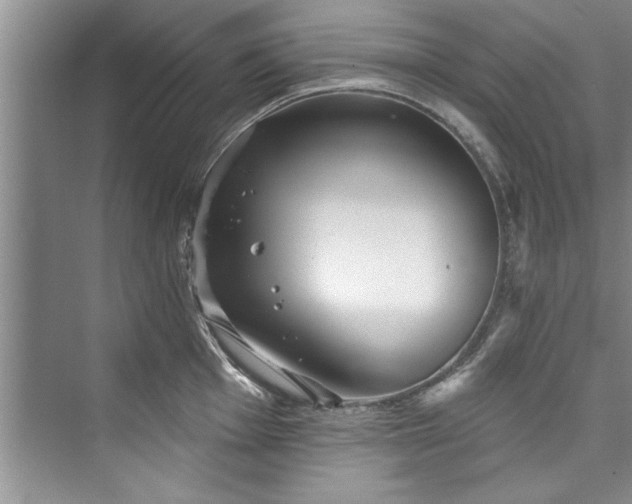 X0000073421001200608111346