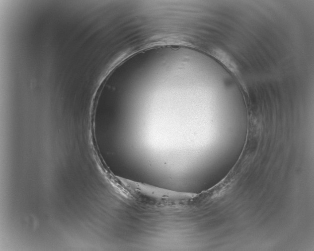 X0000073421002200608111346