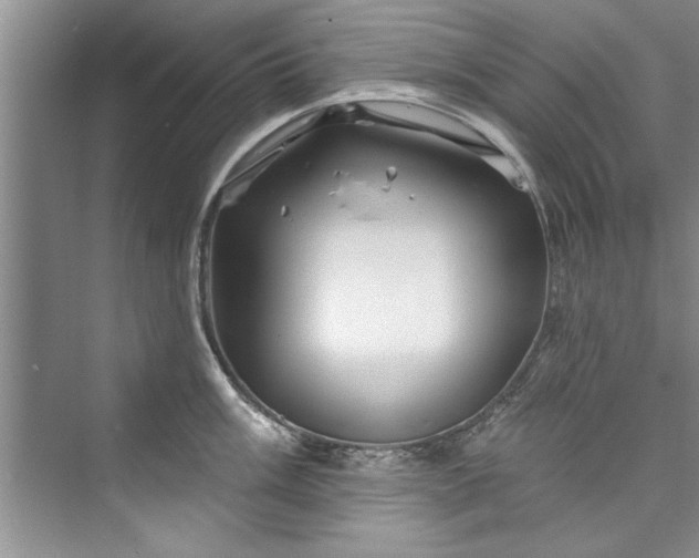 X0000073421003200608111346