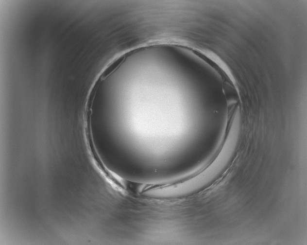 X0000073421005200608111346