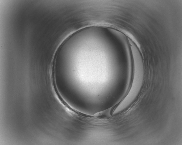 X0000073421007200608111346