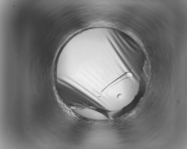 X0000073421008200608111346