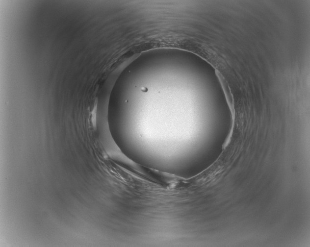 X0000073421010200608111345