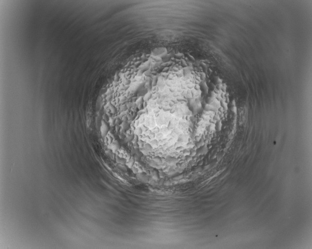 X0000073421011200608111345