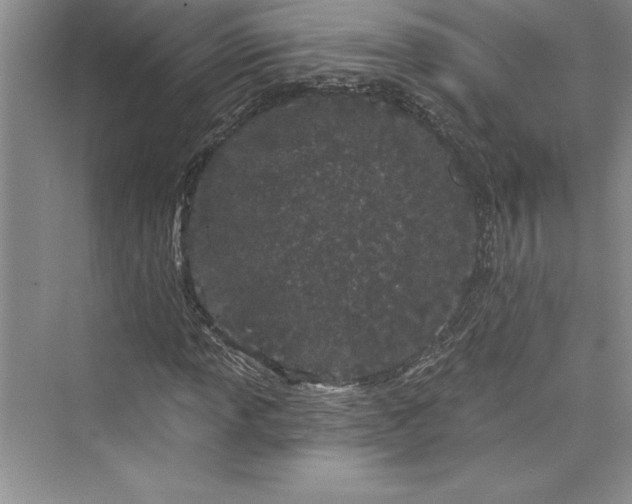 X0000073421013200608111345