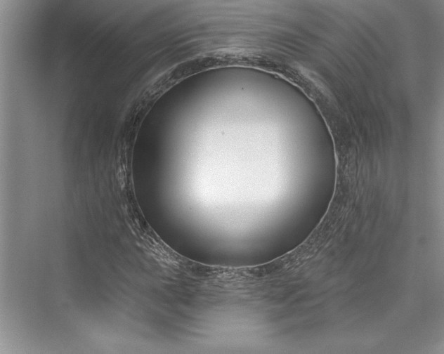 X0000073421015200608111345