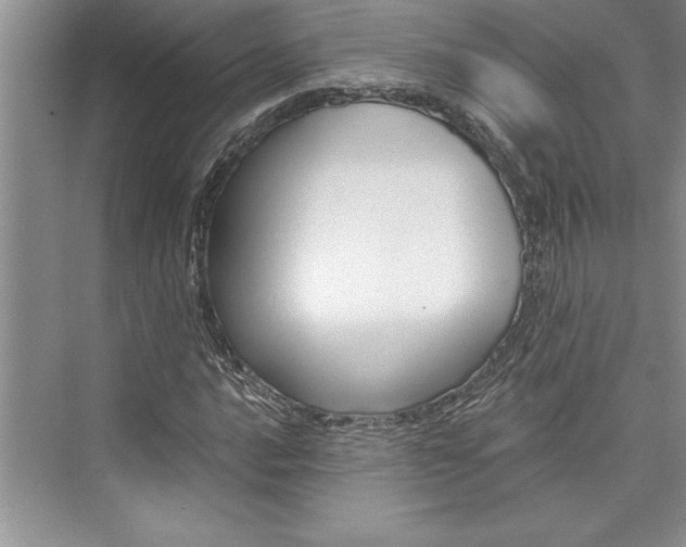 X0000073421016200608111345