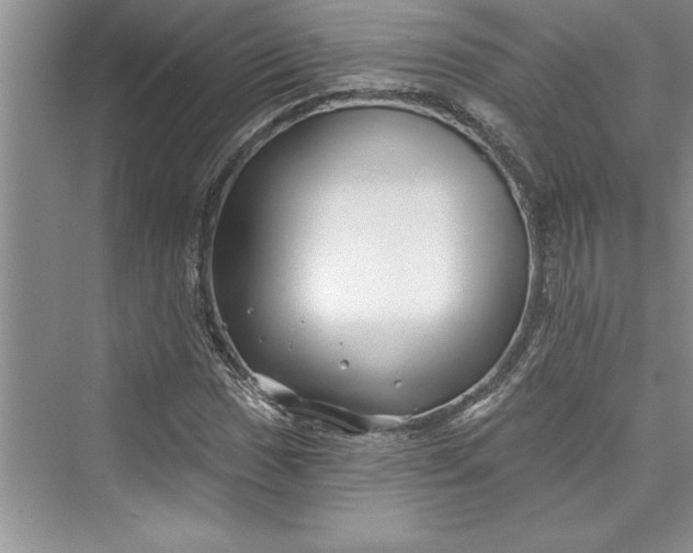 X0000073421017200608111345