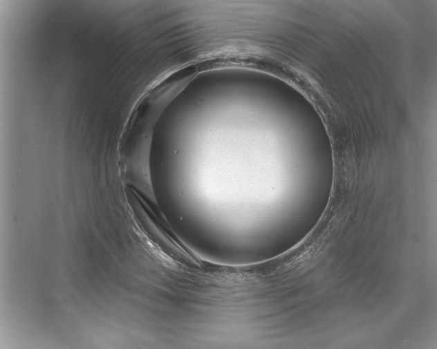 X0000073421018200608111345