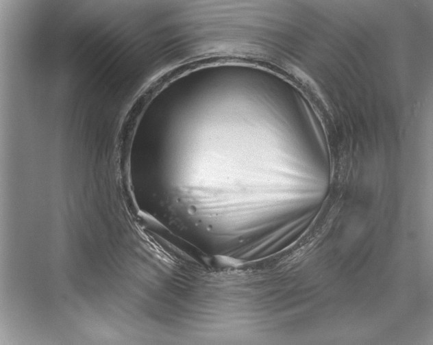 X0000073421019200608111345