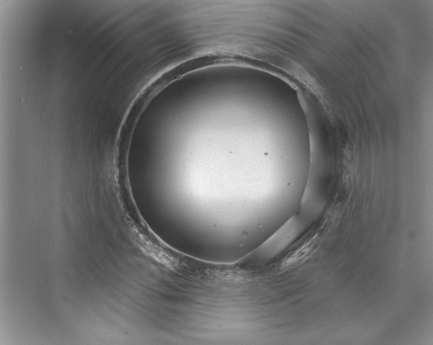 X0000073421020200608111345