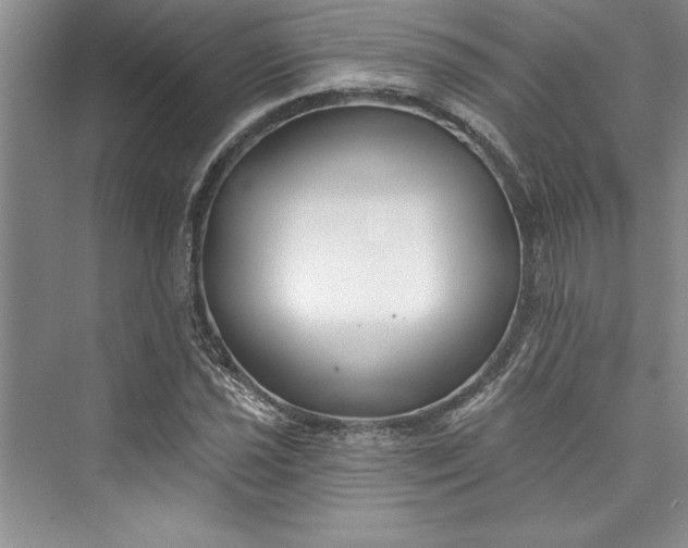 X0000073421021200608111345