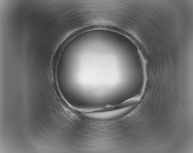 X0000073421022200608111345