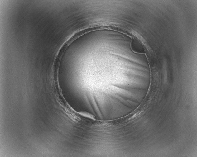 X0000073421023200608111345