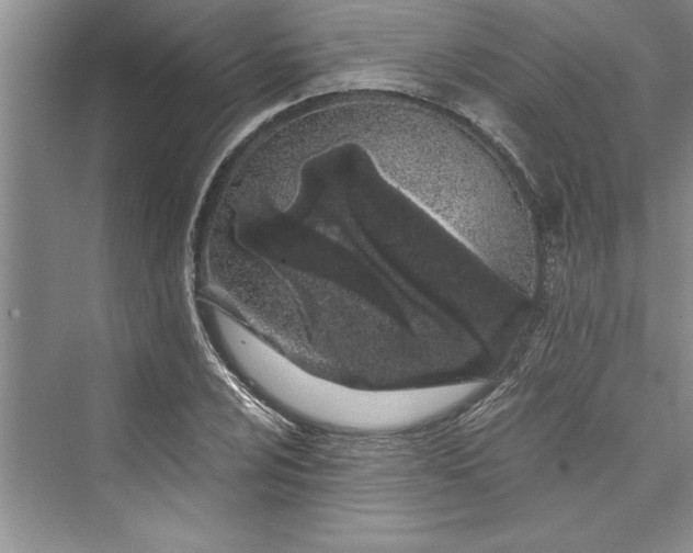 X0000073421024200608111345