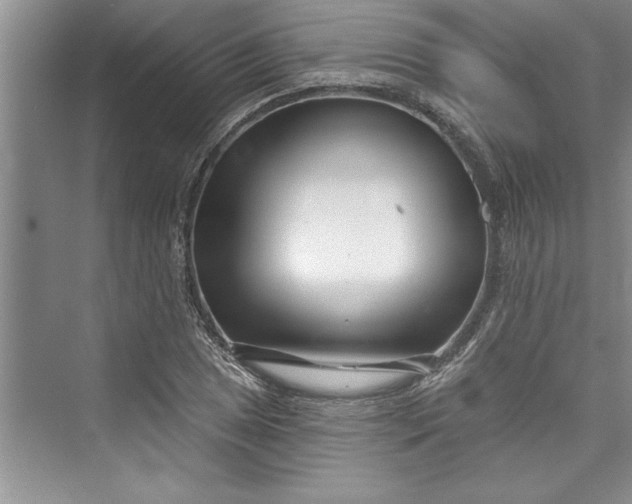 X0000073421025200608111345