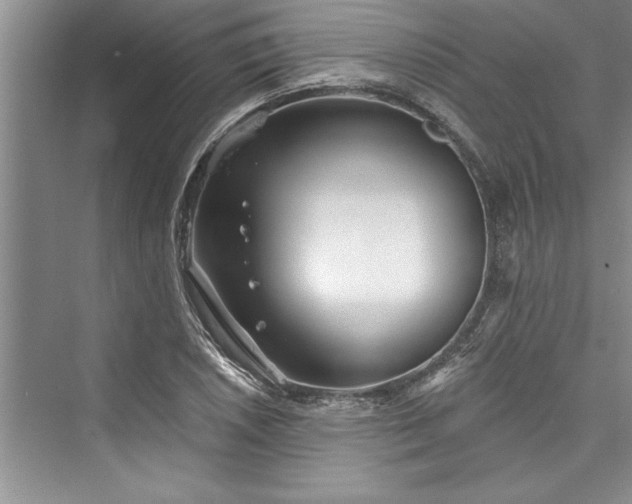 X0000073421026200608111345