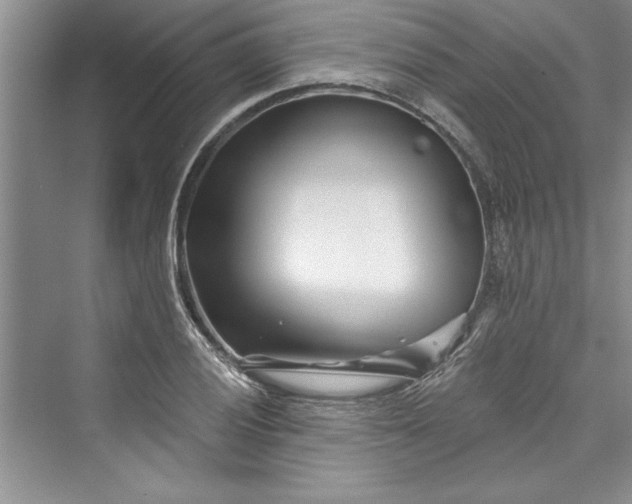 X0000073421028200608111345