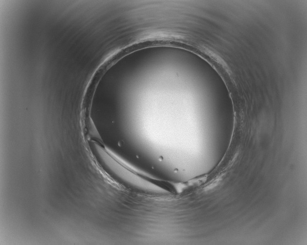 X0000073421029200608111345