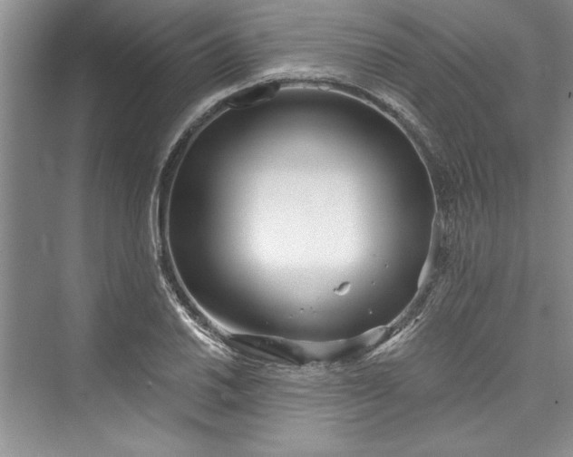 X0000073421030200608111345