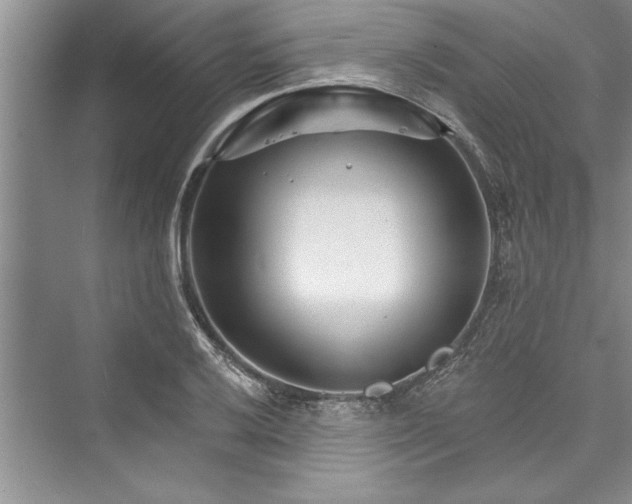 X0000073421032200608111346