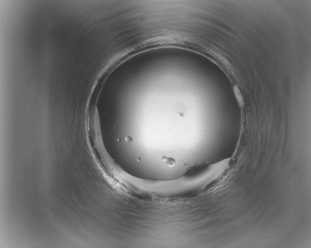 X0000073421034200608111346