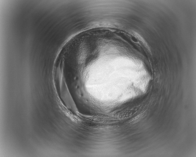 X0000073421035200608111346