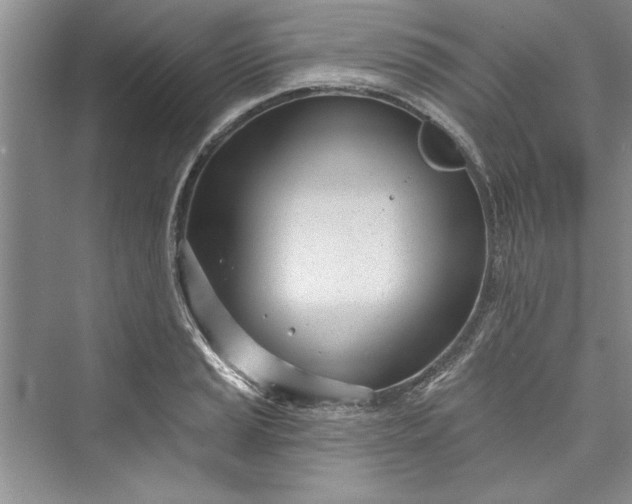 X0000073421037200608111346