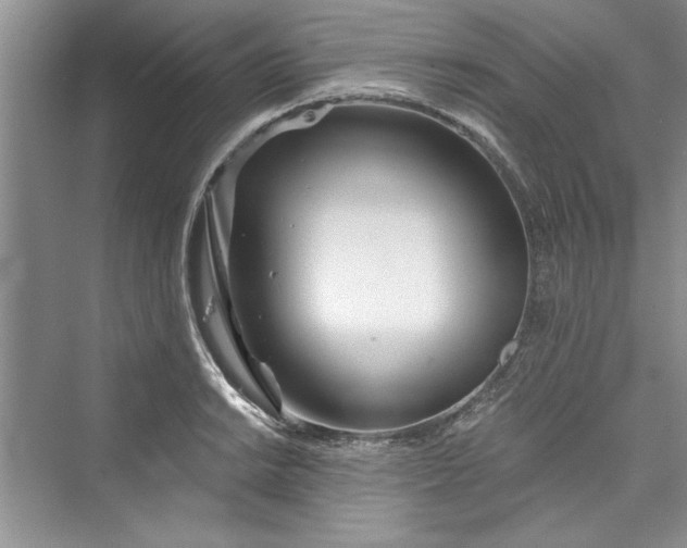 X0000073421038200608111346