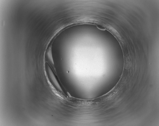 X0000073421039200608111346