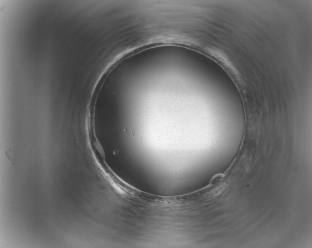 X0000073421040200608111346