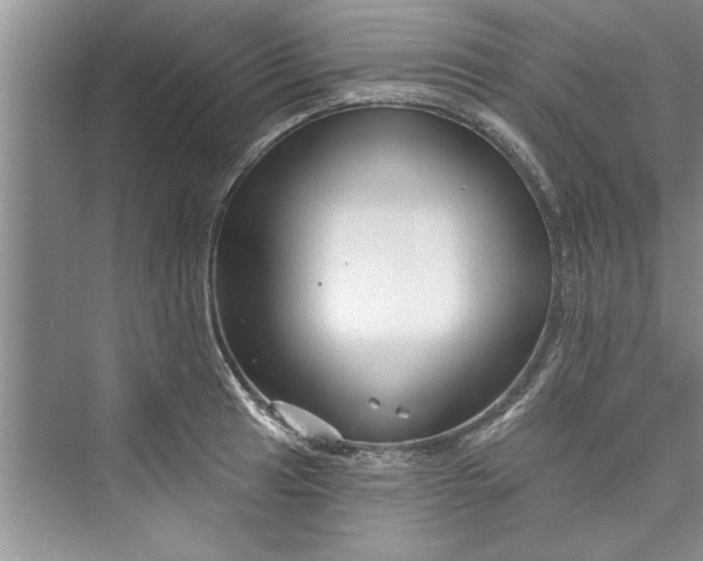 X0000073421041200608111346